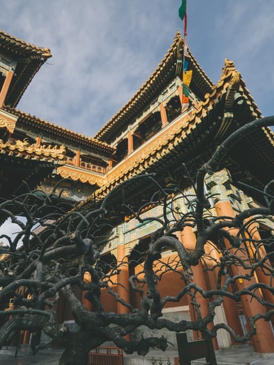图聚科技